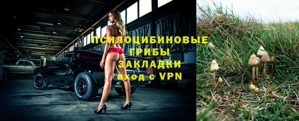 дживик Абдулино