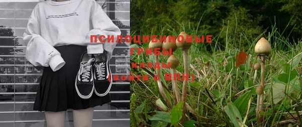 спайс Осинники
